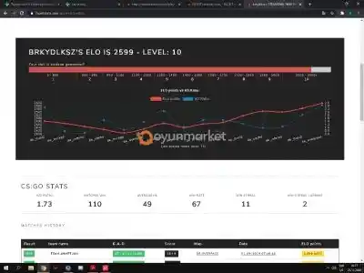 FACEIT 2600 ELO / 1.7 KD / 70 WR