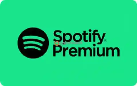 Spotify 24 Ay Premium Hesap