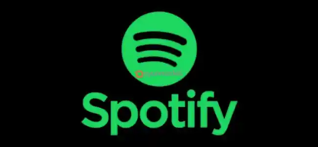 Aylık Spotify Aile Premium Hesabı