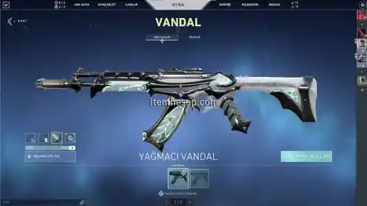 Valorant Random Hesap 5-120 skin 100% TR