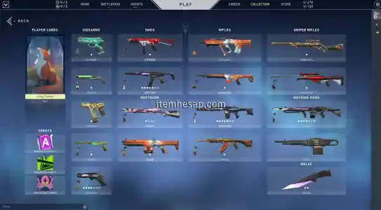 Anomali Set + Asil Spectre Valorant Hesap