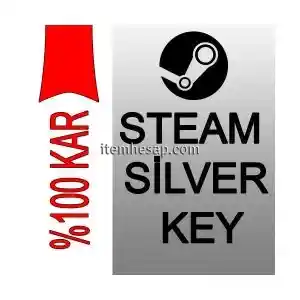 Steam Random Key SİLVER KEY (!!!)