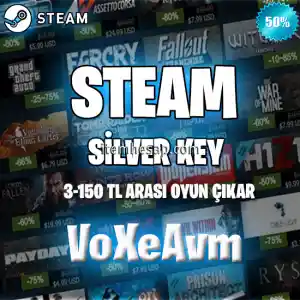 Steam Silver Key