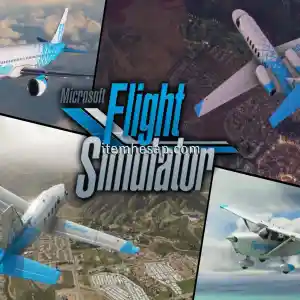 Microsoft Flight Simulator