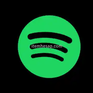 1x Spotify Premium Hesabı