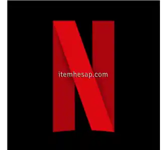 Netflix Premium 4K UHD - 30 Günlük