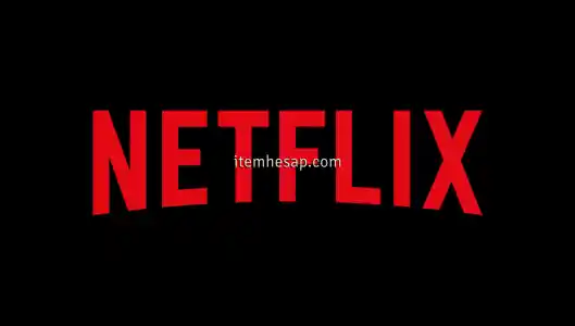 1 AYLIK NETFLIX ULTRA HD