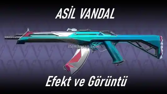 Asil vandal+ random bıçak garantili 10-60 skinli hesaplar