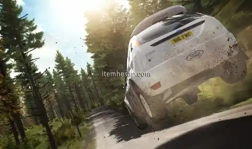 Dirt Rally [ Offline Hesap + Garanti ]