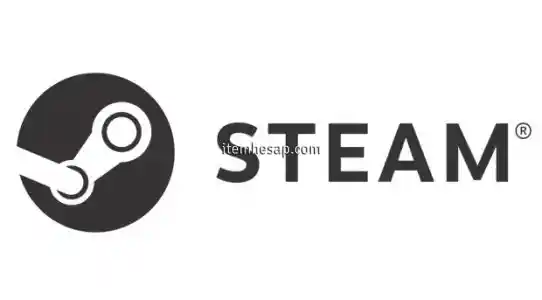 Steam Hesap 39 Oyunlu