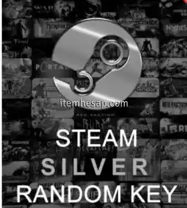 STEAM SİLVER RANDOM KEY