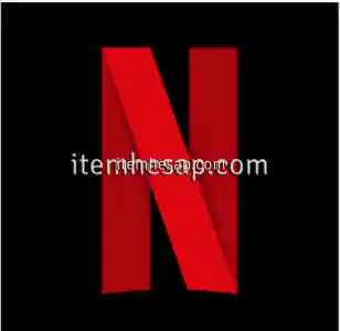 Netflix Premium 4K UHD - 30 Günlük