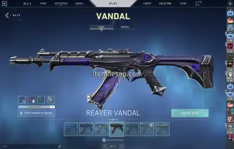 Full + Full mailli hesap