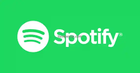 Spotify Premium Size Özel hesap (1 Ay Garantili)