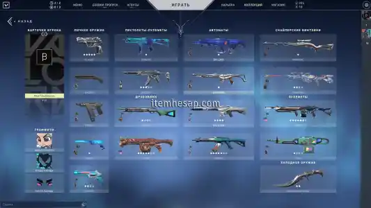 -VİP- Valorant 100-300 Arası Skinli Random Hesap