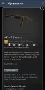 AK-47 | Yırtıcı - Cs go skin