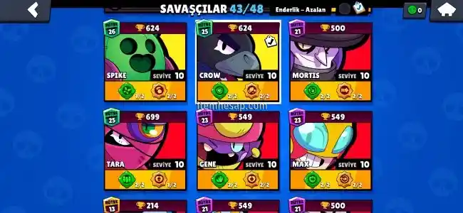 Dört dörtlük hesap