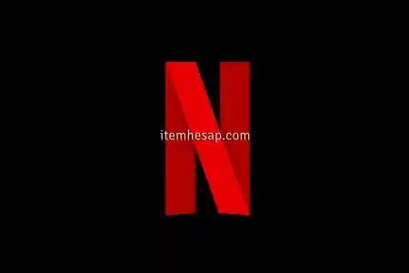 1 AY 4K UHD NETFLİX PROFİL - 30 Günlük