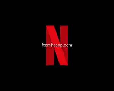 Netflix Premium 4K UHD - 3 Günlük