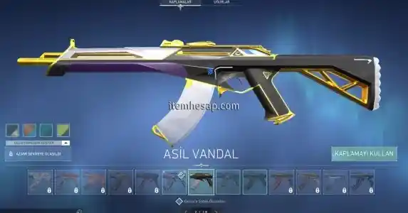 asil garantili hesap 5-120 skin