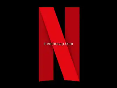 Netflix Premium 4K UHD - 3 Günlük