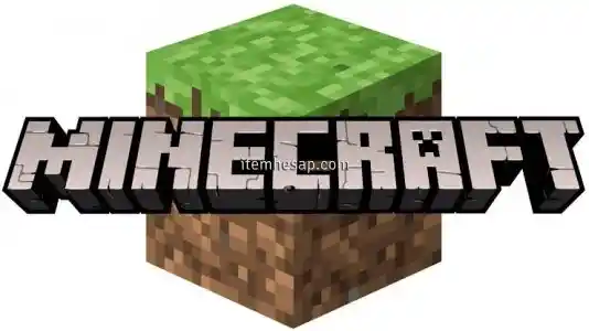 Minecraft Java Edition Full Hesap