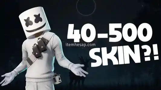 40-500 Skin Fortnite Random Hesap