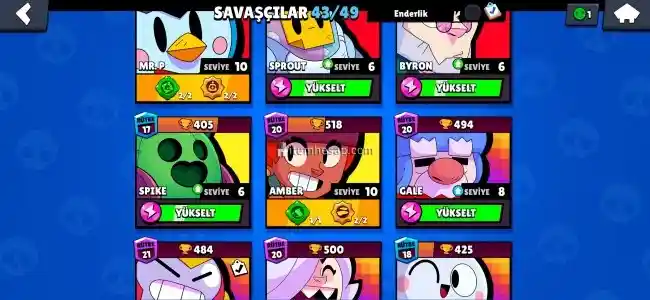 Brawl stars 43 karakterli hesap