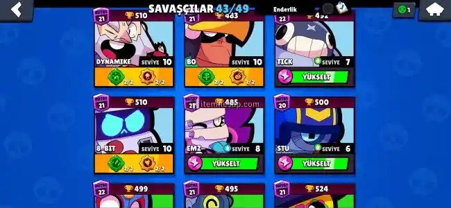 Brawl stars 43 karakterli hesap