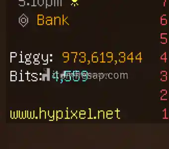 Hypixel Skyblock 25M Coin