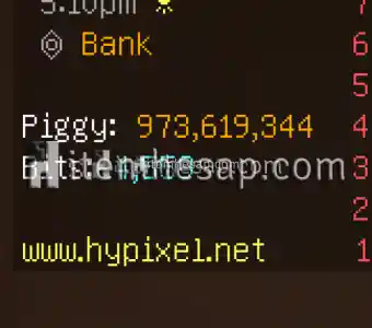 Hypixel Skyblock 1M Coin