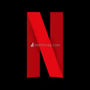 1 aylık premium 4k Netflix hesabı