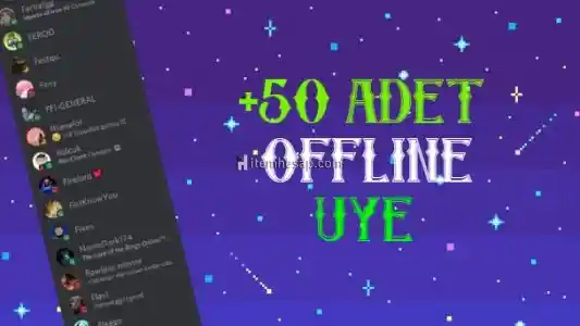 Discord 50 Adet Offline Üye