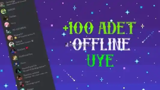 Discord 100 Adet Offline Üye