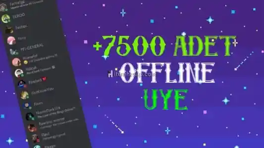 Discord 7500 Adet Offline Üye