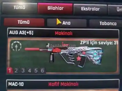 +5 SINIRSIZ AUGLU BOL DESTANSILI 52 LVL HESAP ACİL