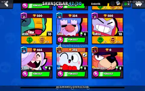 19905 KUPA LEON VE SPİKE 100 TAŞLI BOL SKİNLİ HESAP