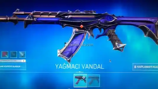 TR Mailsiz Yağmacı Vandal ve Fatih kılıçlı hesap