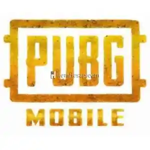 Pubg Mobile 300 + 25 Unknown Cash  7/24 Hızlı Ve Güvenli Teslimat