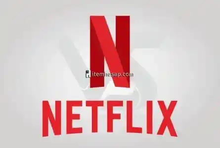 Netflix 75 Tl Hediye Kartı 7/24 Hızlı Ve Güvenli Teslimat