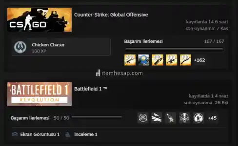indirimli 18 yıl csgo prime ve battlefield 1 deluxe