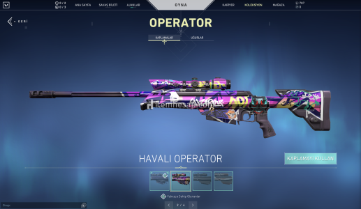 Valorant Skinli Hesap