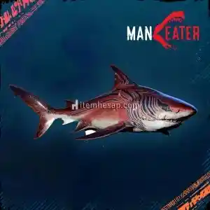 maneater oyunumu epic games hesabı ile devrediyorum.