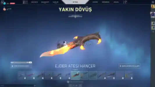 valorant plat 2 ejder bıçak delipop vandal asil vandallı hesap