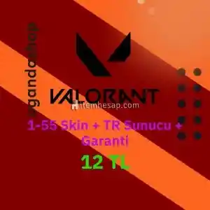Valorant 1-55 Skin TR Sunucu Hesap + Garanti