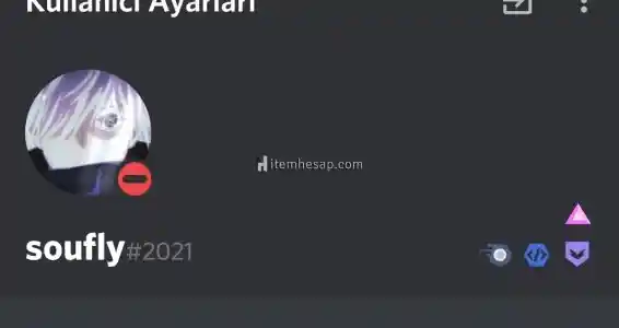 Discord rozetli hesap 2 adet onaylı bot kurucusu hesap