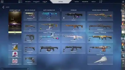 5000TL Yatırılmış Immortal 3 Hesap