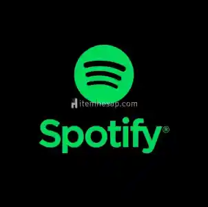 1 Aylık Spotify Premium