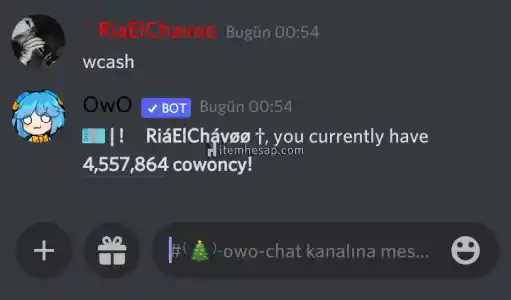 Discord Owo 1M Cash