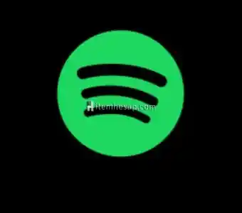 1/6 Ay arası Spotify Premium Aile Linki